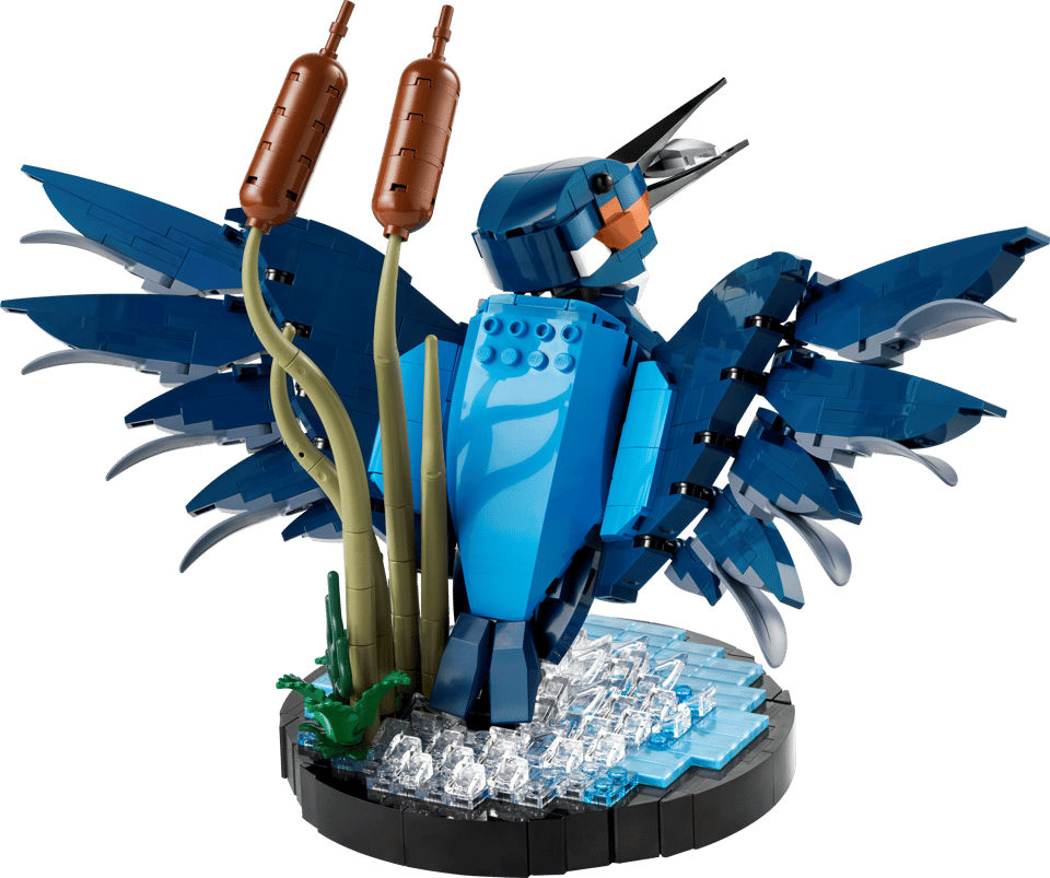 10331 Kingfisher Bird