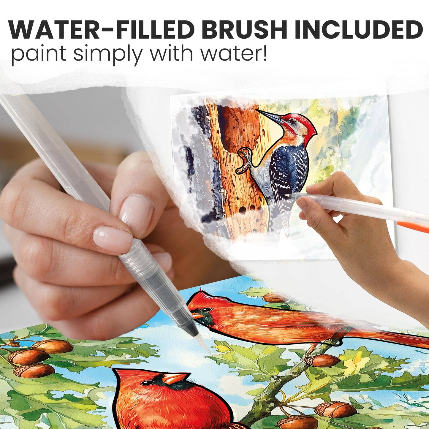 Water Painting Dementia Activities for Seniors | Birds