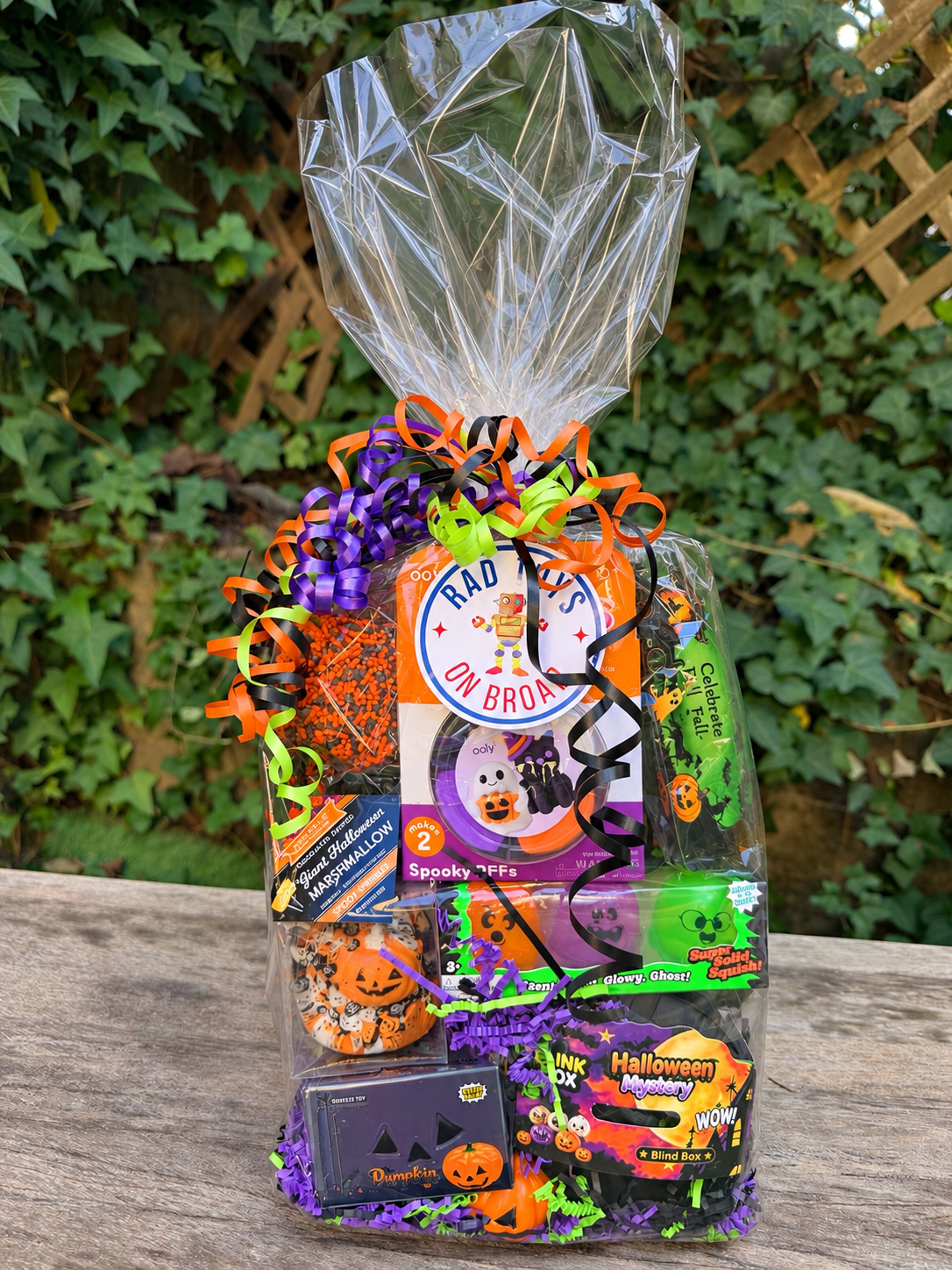 Rad Toys BOO-Bag