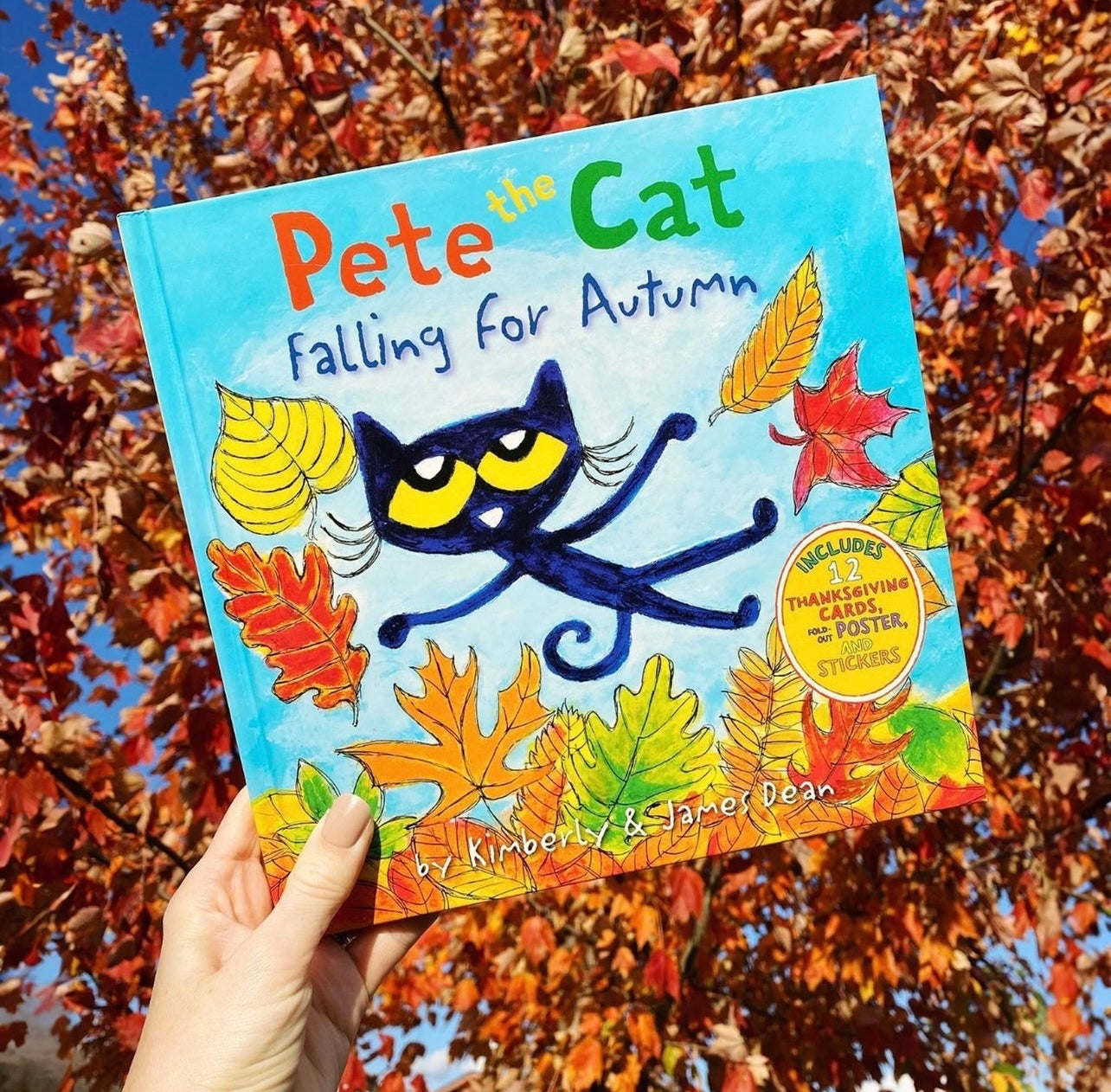 Pete the Cat: Falling for Autumn