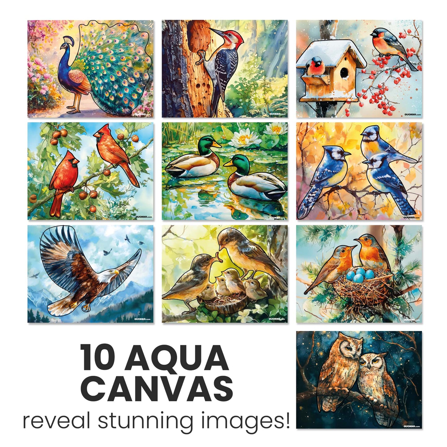 Water Painting Dementia Activities for Seniors | Birds
