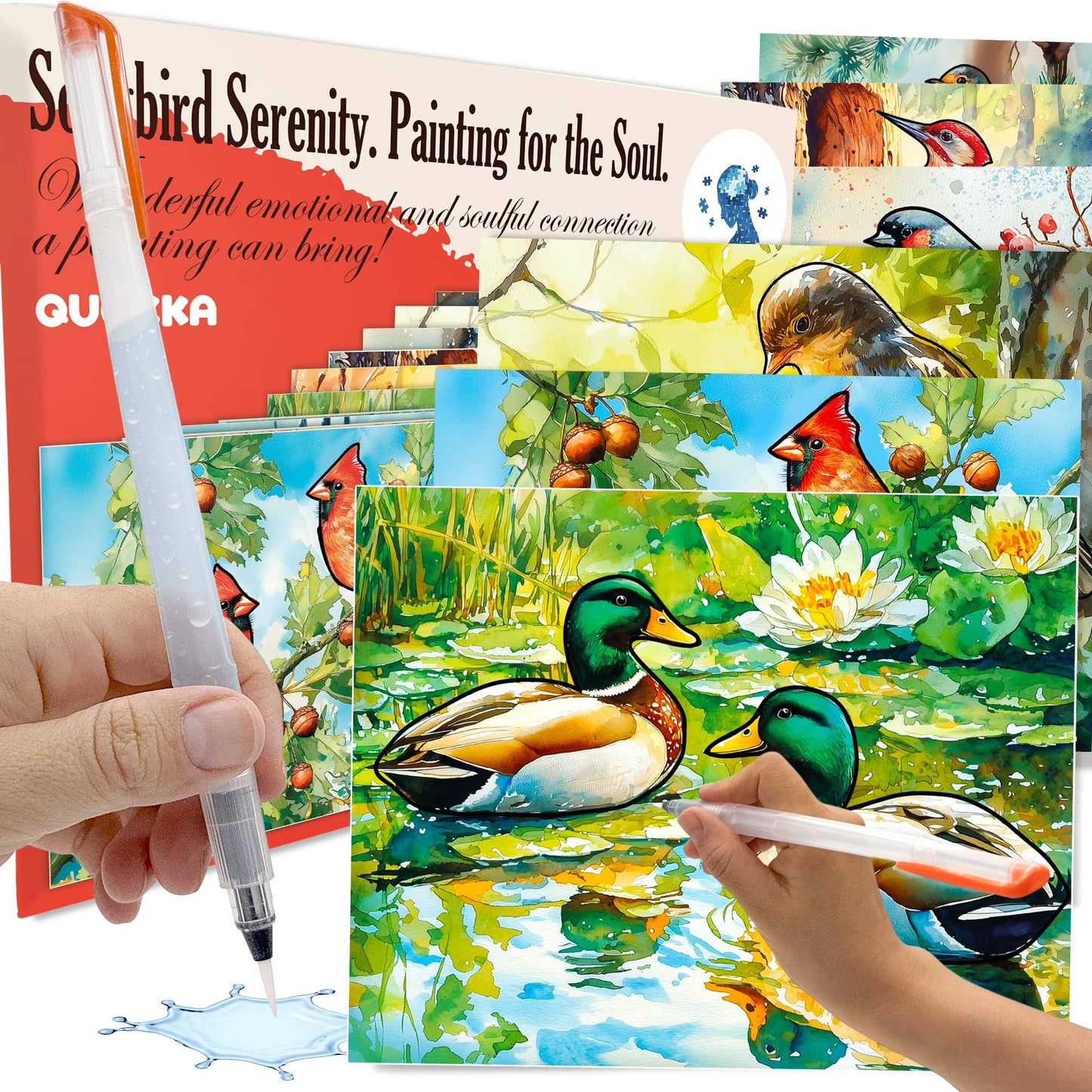 Water Painting Dementia Activities for Seniors | Birds