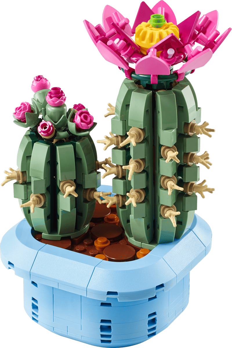 11509 Flowering Cactus