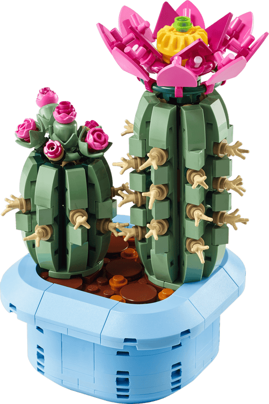 11509 Flowering Cactus
