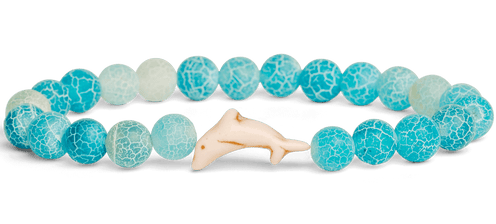 Fahlo Animal Tracking Bracelet