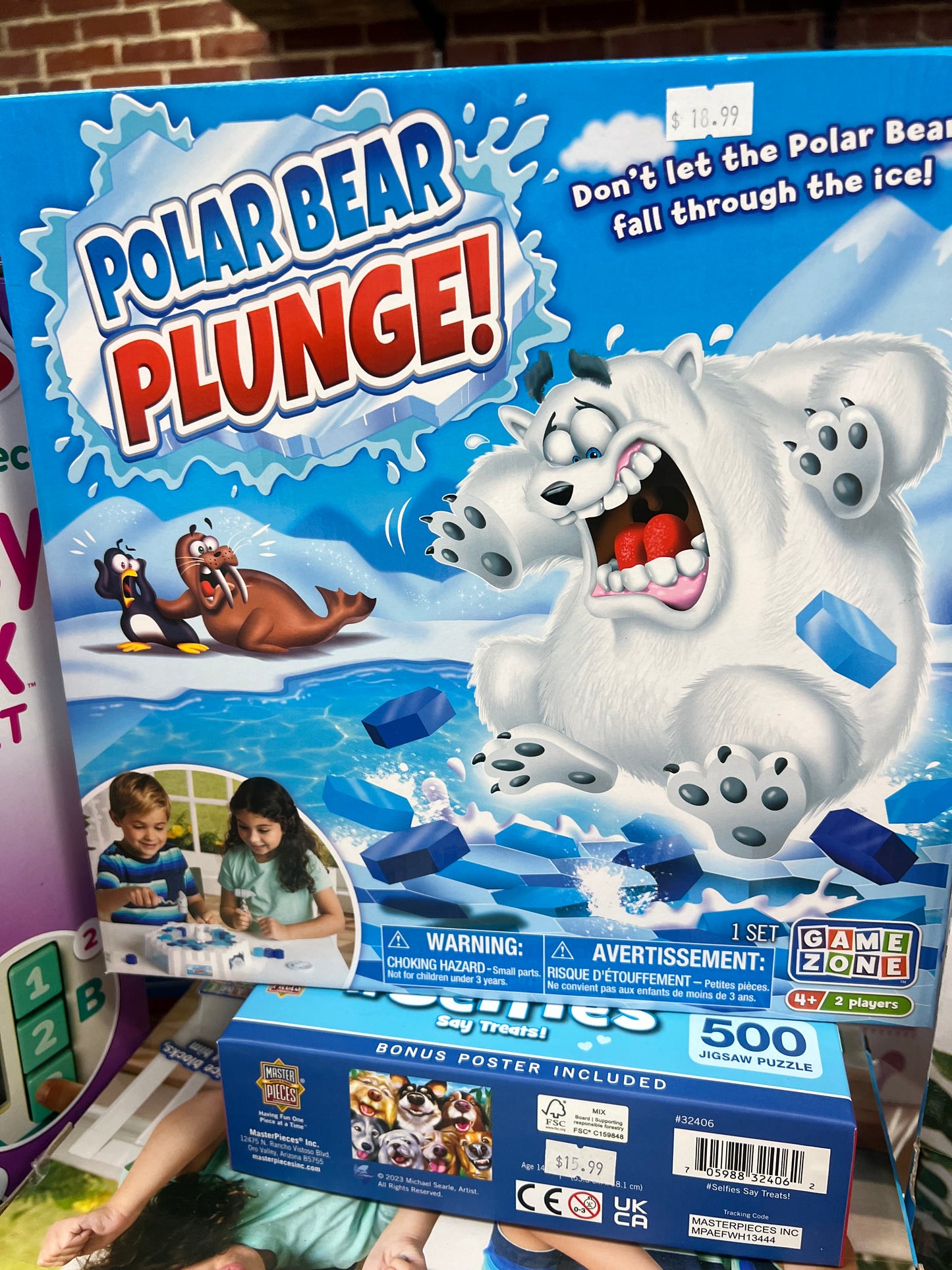 Polar Plunge