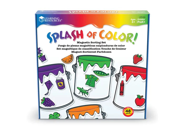 Splash of color magnetic sorting set