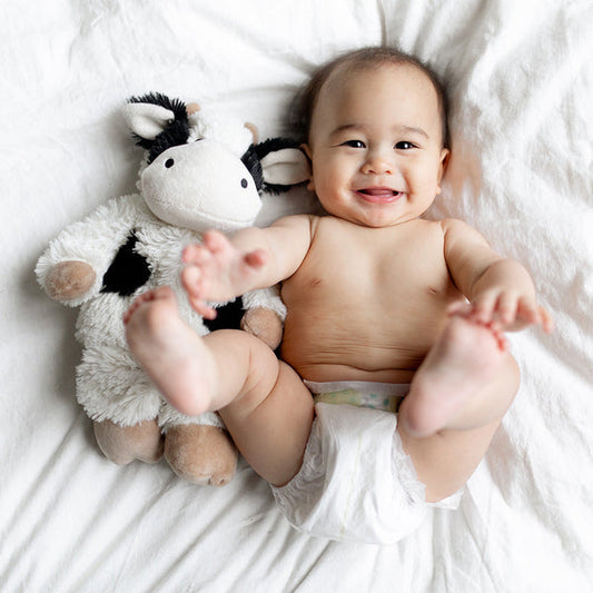 Black and White Cow Warmies®