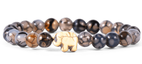 Fahlo Animal Tracking Bracelet