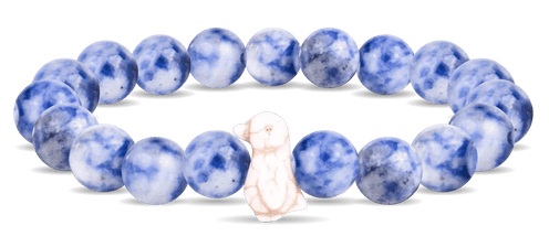 Fahlo Animal Tracking Bracelet