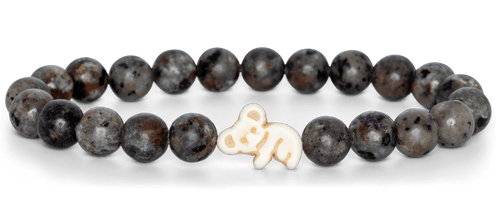 Fahlo Animal Tracking Bracelet